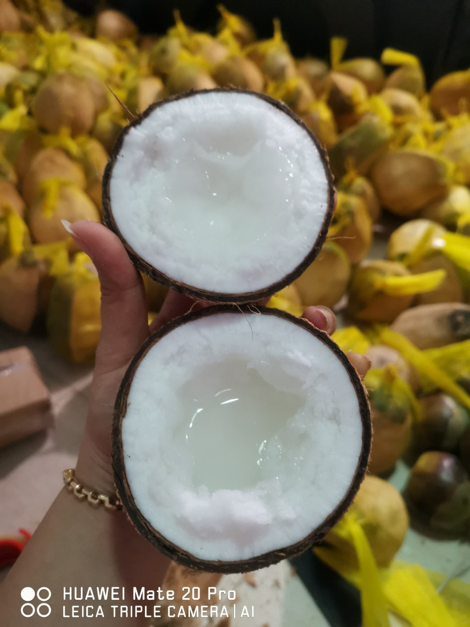 Dừa sáp Trà Vinh có giá dao động từ 105.000Đ đến 165.000Đ/trái