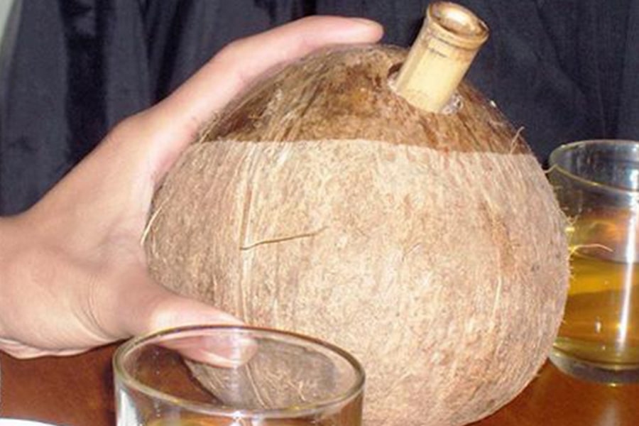 Hương vị thơm ngon của rượu dừa Bến Tre rất đặc trưng.